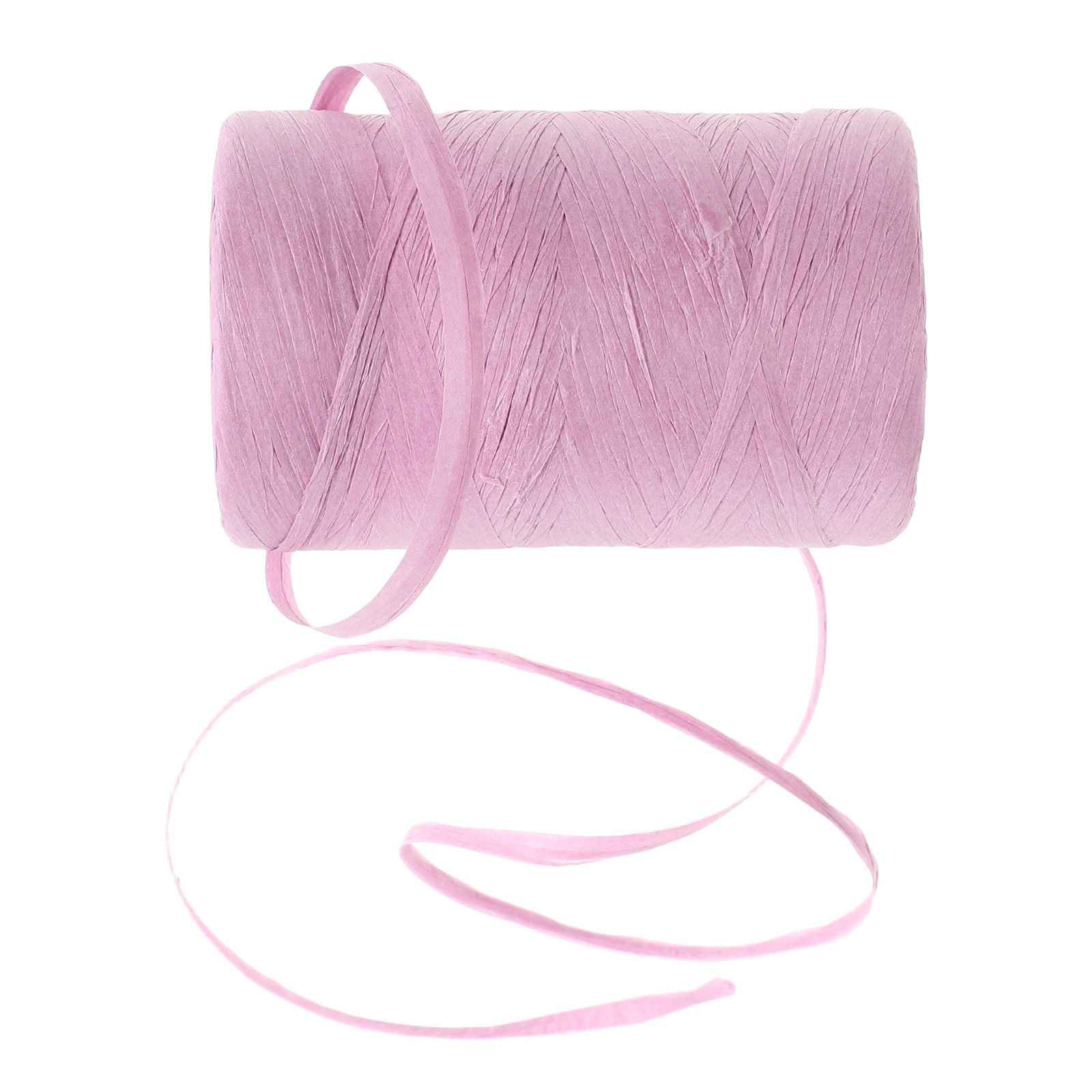 Papercraft Supply Ribbon - Ruban en papier raphia plat coloré