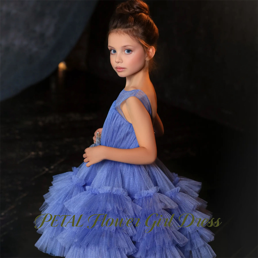 Robe de princesse bleue sans m - Birthday Sash Glitter avis et prix
